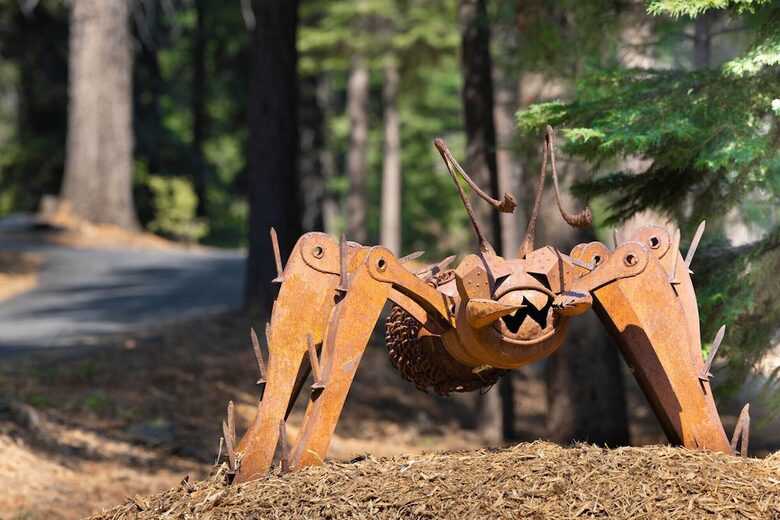 Quintessential Mountain Chalet On 10 Acres - Truckee, California