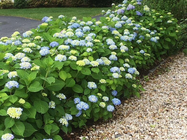 Charming Jersey Shore Beach Cottage | Close to Beaches, Town and Parks - Point Pleasant, New Jersey