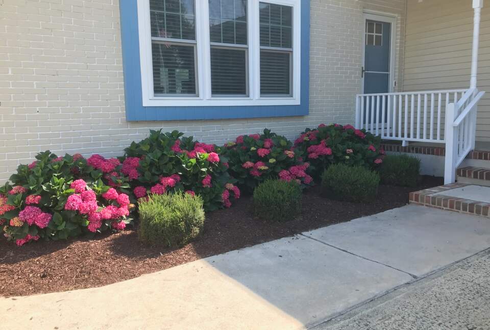 Charming Jersey Shore Beach Cottage | Close to Beaches, Town and Parks - Point Pleasant, New Jersey