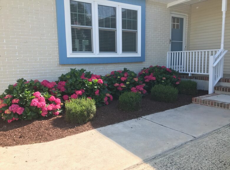 Charming Jersey Shore Beach Cottage | Close to Beaches, Town and Parks - Point Pleasant, New Jersey