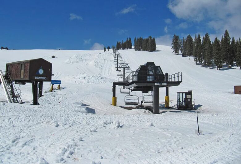 Tahoe-Style Designer Home - Truckee, California