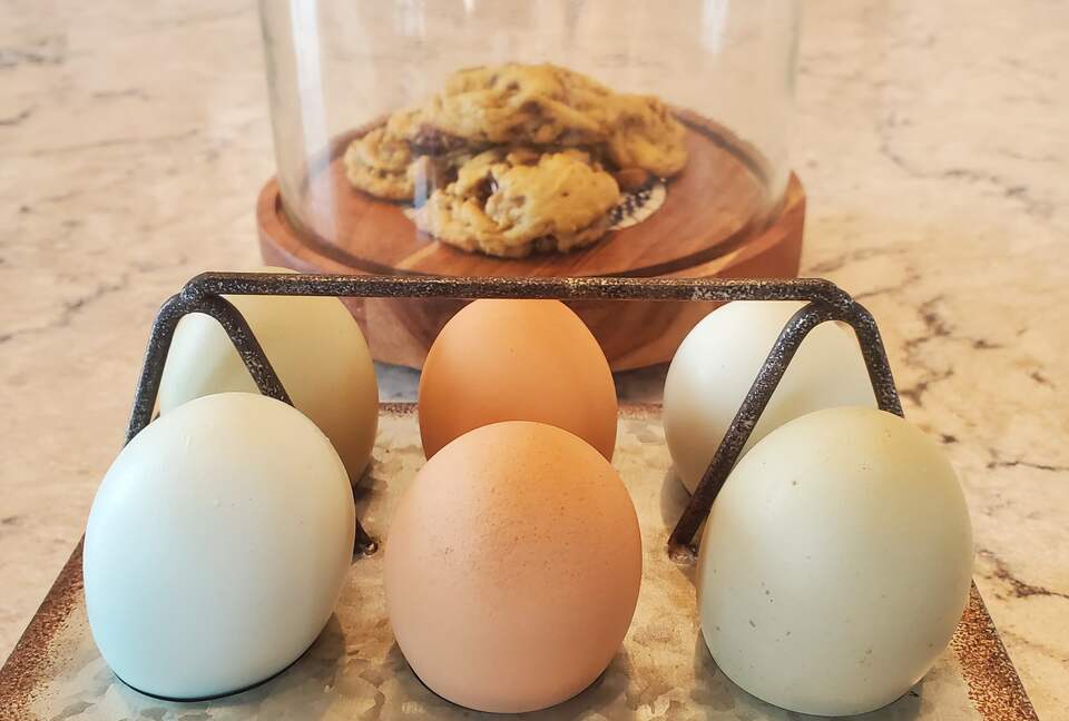 Private 1 Bedroom Villa Overlooking the Vineyards - Temecula, California