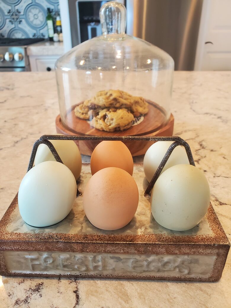 Private 1 Bedroom Villa Overlooking the Vineyards - Temecula, California