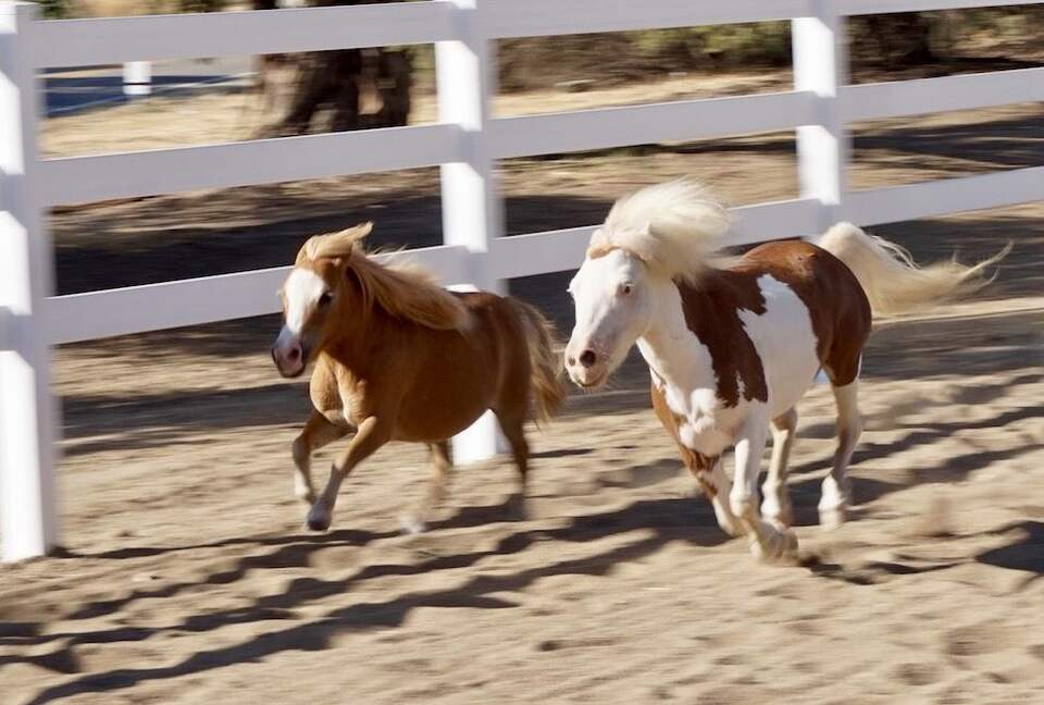 Private 1 Bedroom Villa Overlooking the Vineyards - Temecula, California