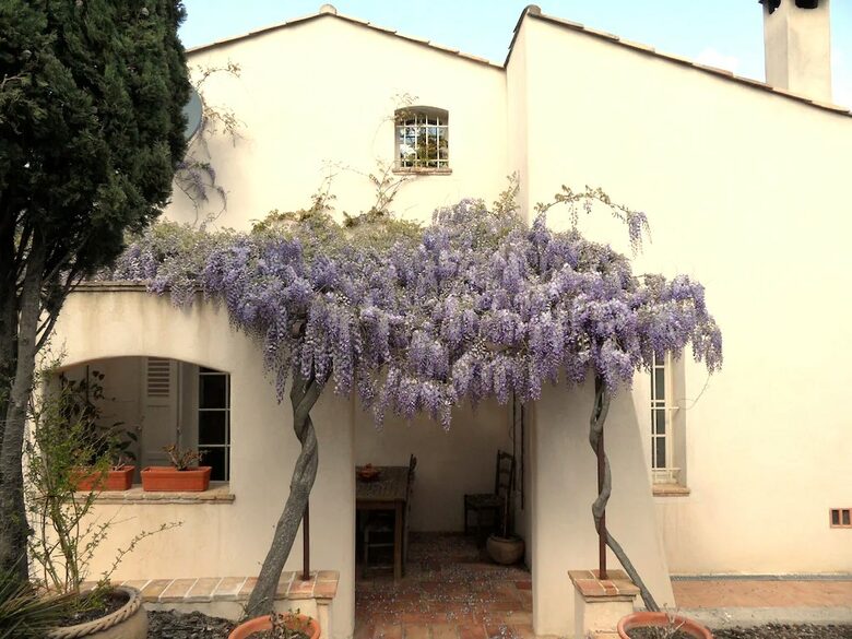 The Little White House - St Aygulf, France
