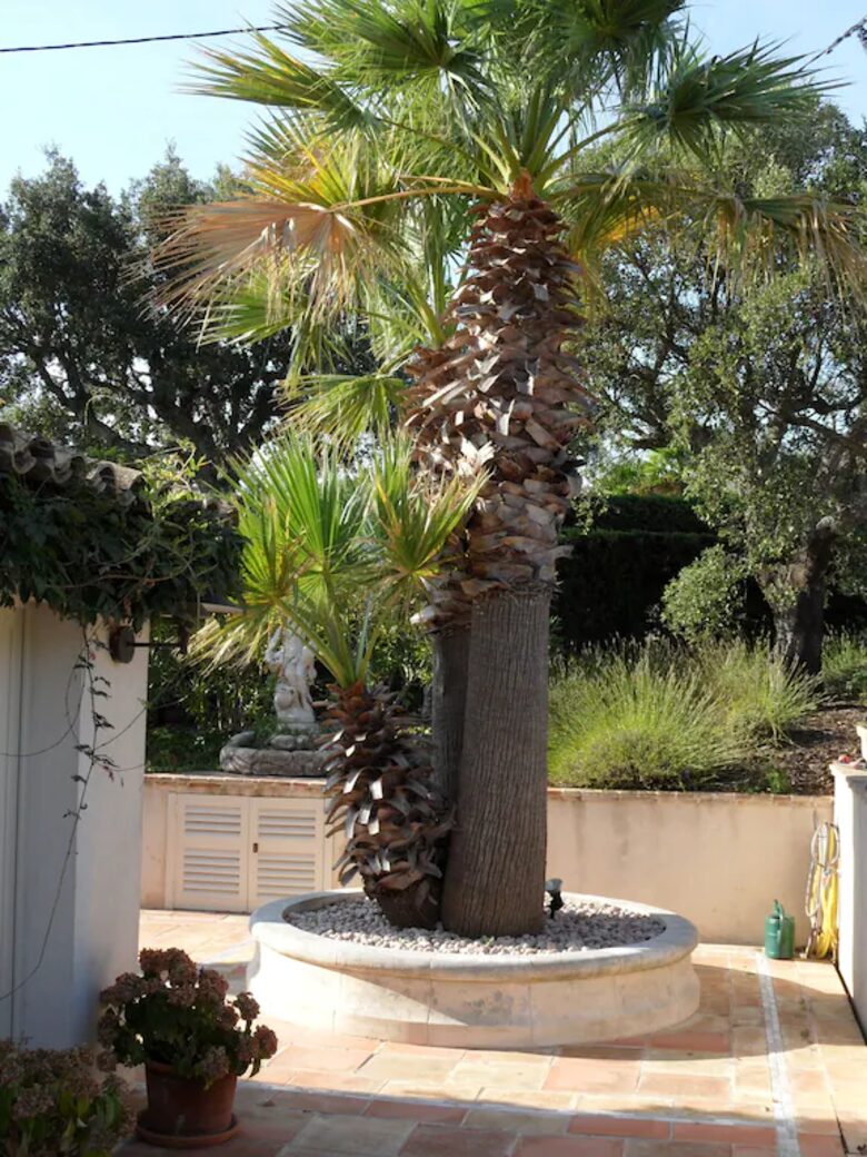 The Little White House - St Aygulf, France