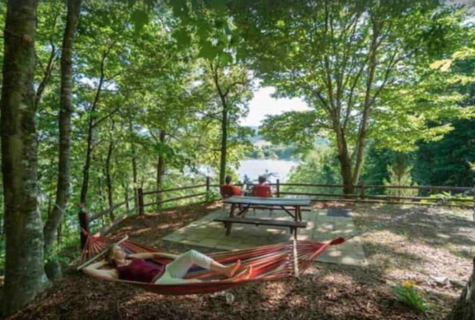 Bend of the River Retreat on Lake Chatuge / Private Dock / Boat - Hiawassee, Georgia