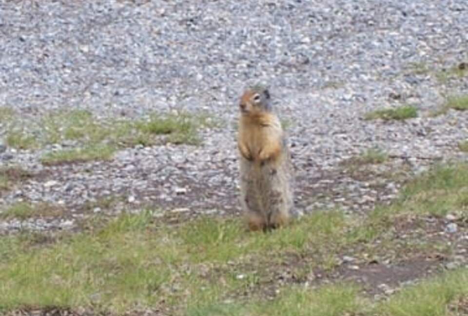 Canmore Mountain Escape with a Rooftop Hot Tub - Canmore, Canada