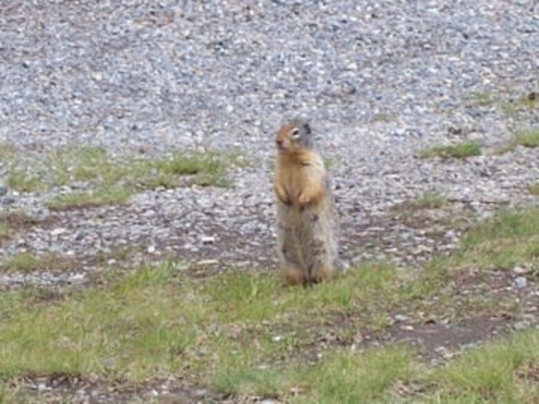 Canmore Mountain Escape with a Rooftop Hot Tub - Canmore, Canada