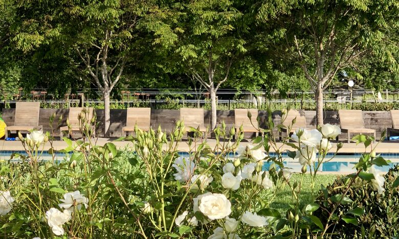 View of pool from garden in spring