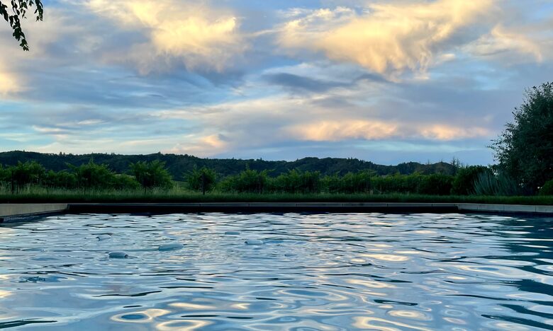 Vineyard view from pool at twilight