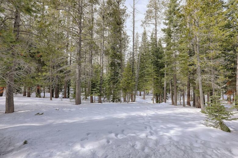 Tahoe Donner Luxury - Truckee, California