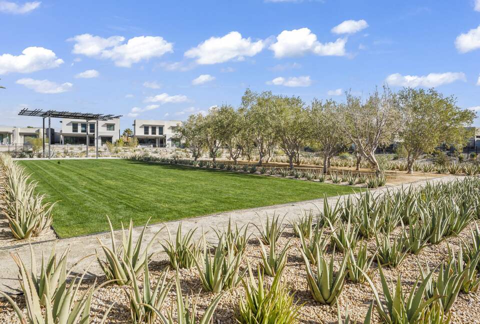 Miralon of Palm Springs - Palm Springs, California