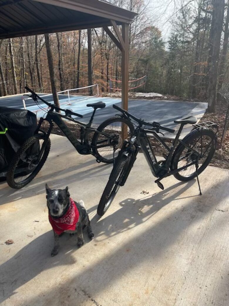Bellissimo Castle on Lake Lanier / Private dock / Boat / Jet Skis / ATV - Gainesville, Georgia