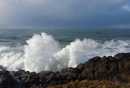 Whale Cove Oceanfront Dream - Depoe Bay, Oregon