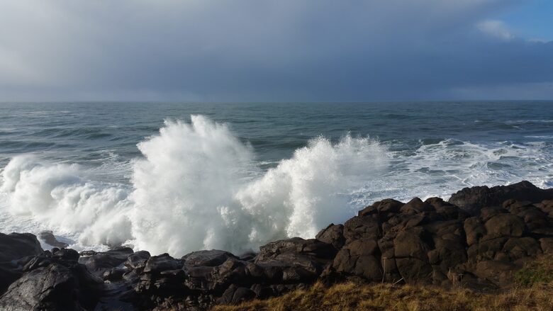 Whale Cove Oceanfront Dream - Depoe Bay, Oregon