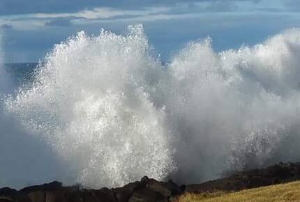 Whale Cove Oceanfront Dream - Depoe Bay, Oregon