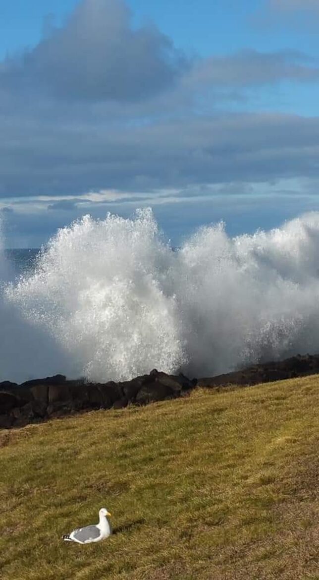 Whale Cove Oceanfront Dream - Depoe Bay, Oregon