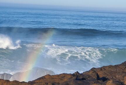 Whale Cove Oceanfront Dream - Depoe Bay, Oregon