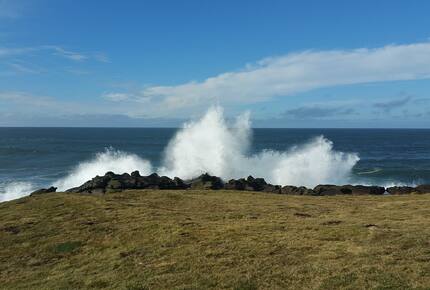 Whale Cove Oceanfront Dream - Depoe Bay, Oregon