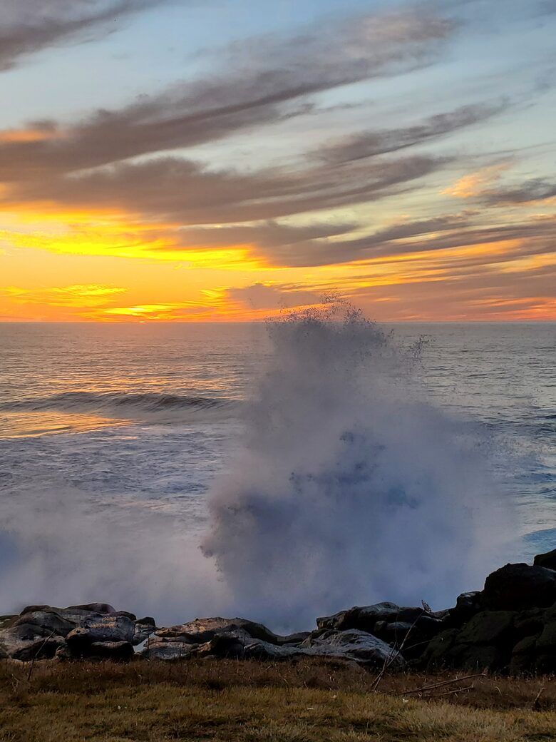 Whale Cove Oceanfront Dream - Depoe Bay, Oregon