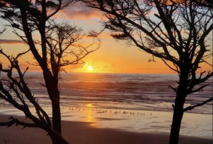 Whale Cove Oceanfront Dream - Depoe Bay, Oregon