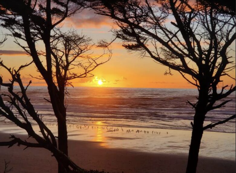 Whale Cove Oceanfront Dream - Depoe Bay, Oregon