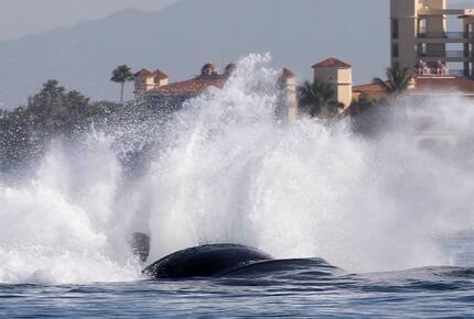 Stunning South Shore 3-Bedroom Beachfront Residence - Puerto Vallarta, Mexico