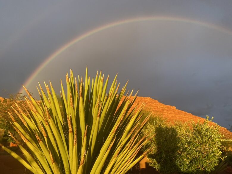 Snow Canyon Serenity - St George, Utah