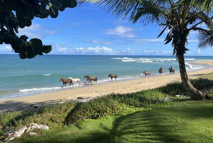 Villa Celeste - Cabarete, Dominican Republic