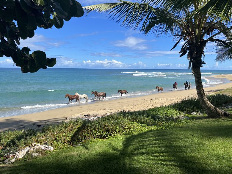 Villa Celeste - Cabarete, Dominican Republic