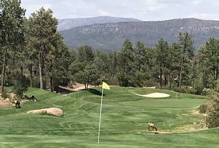 Gorgeous Mountain Home with Golf Access to The Rim and Chaparral Pines - Payson, Arizona