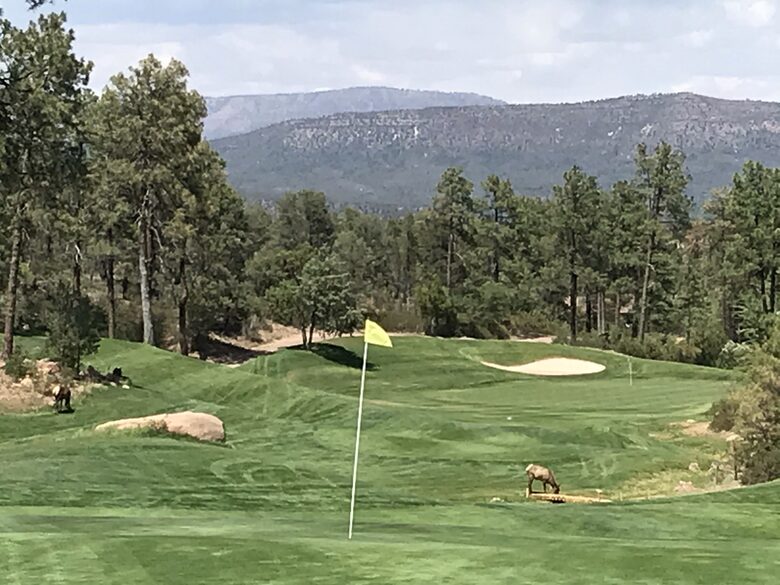 Gorgeous Mountain Home with Golf Access to The Rim and Chaparral Pines - Payson, Arizona