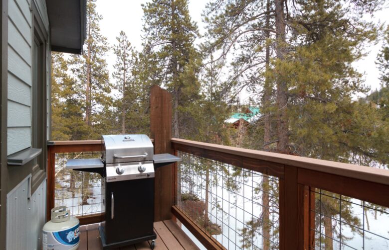 Tranquil Escape with Views of Mount Royal - Frisco, Colorado