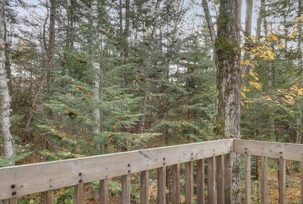 Harbor Cove | Quaint Michigan Outdoor Getaway - Harbor Springs, Michigan