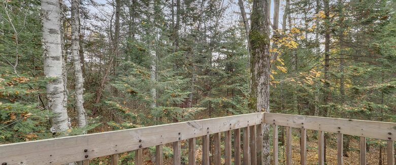 Harbor Cove | Quaint Michigan Outdoor Getaway - Harbor Springs, Michigan