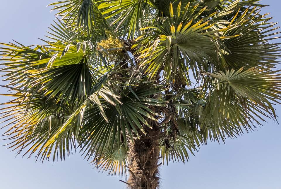 West Vancouver Private Luxury Escape with Expansive View - West Vancouver, Canada