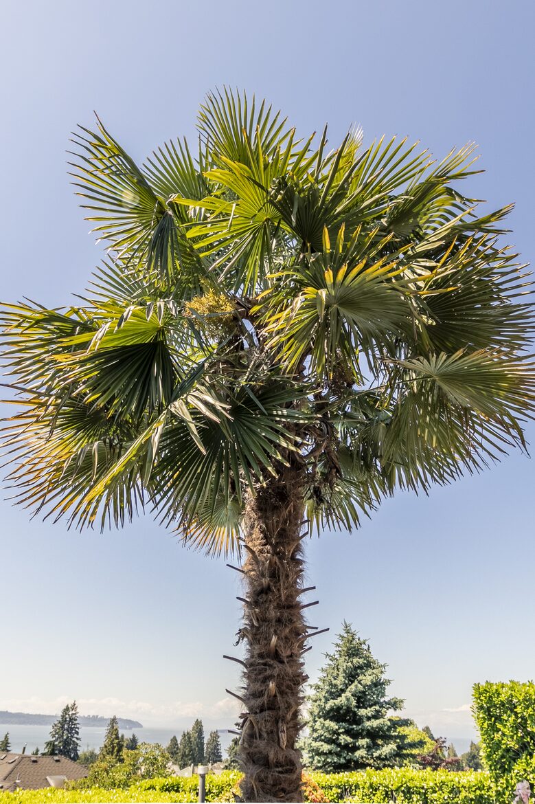 West Vancouver Private Luxury Escape with Expansive View - West Vancouver, Canada