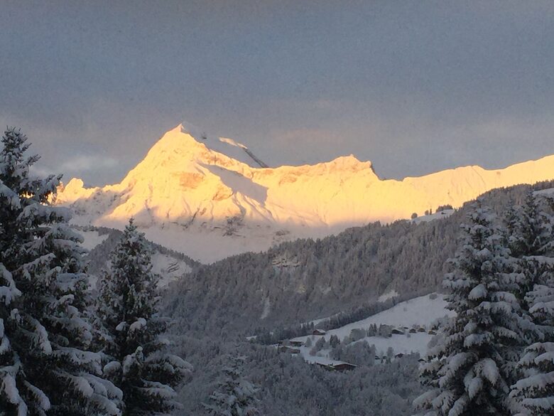 Chalet Le Paradis Blanc - Notre-Dame-de-Bellecombe, France