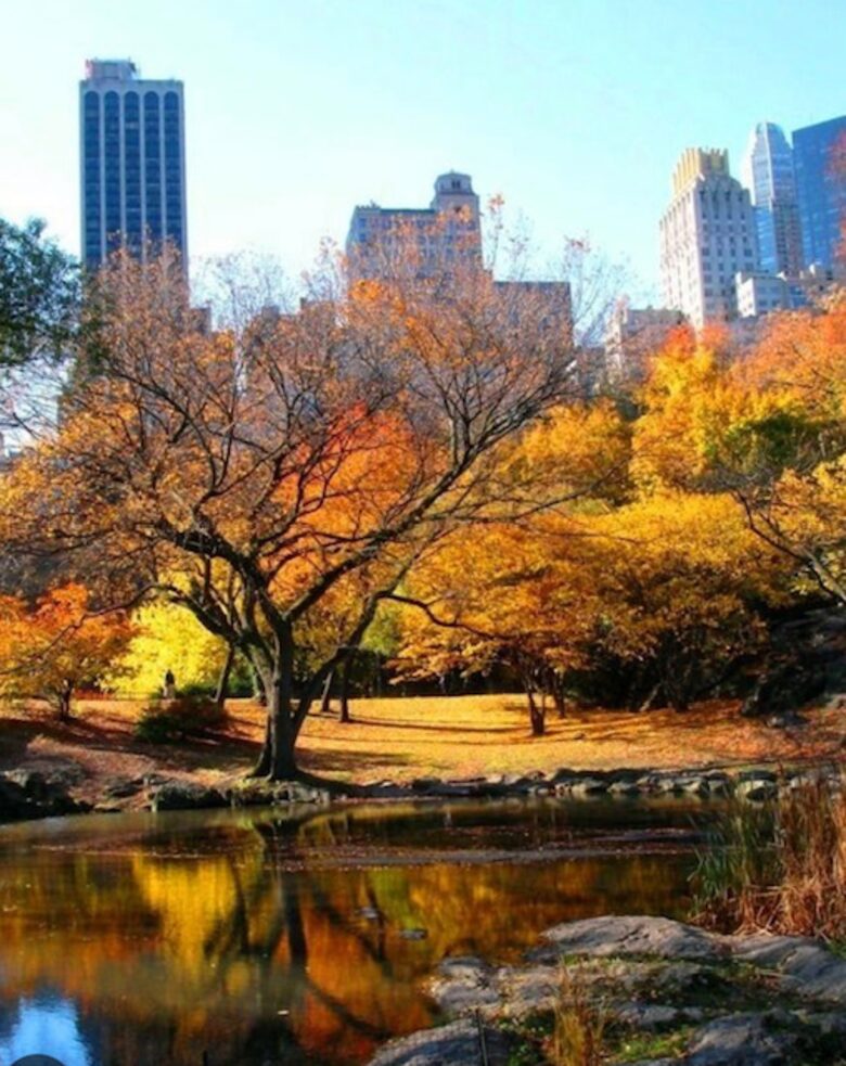 Central Park Sunlight | Upper West Side - New York City, New York