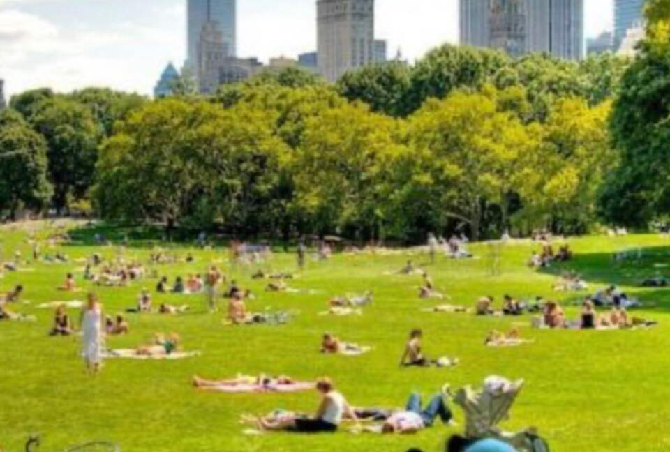 Central Park Sunlight | Upper West Side - New York City, New York