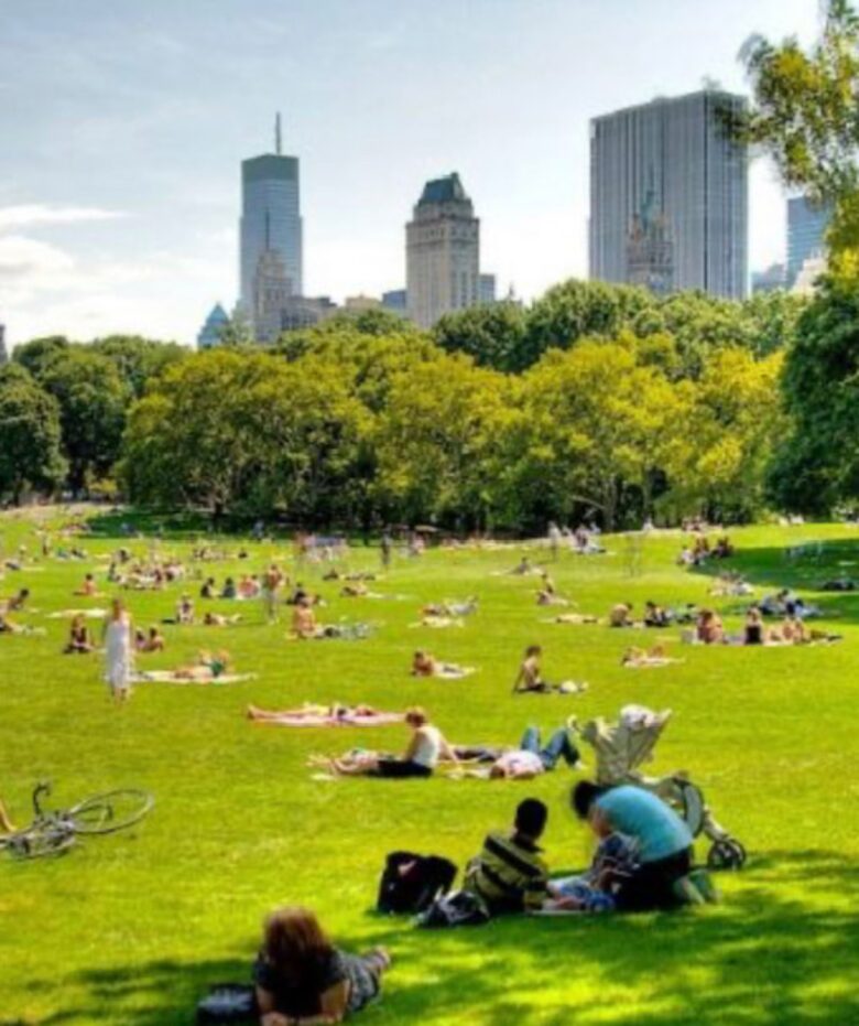 Central Park Sunlight | Upper West Side - New York City, New York