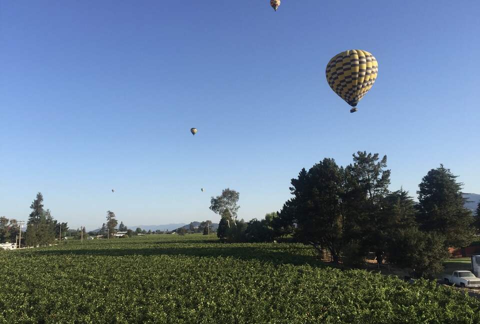The view of the northern vineyard from the study.