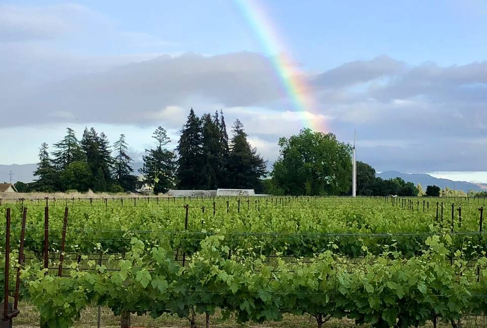Actual seats from Candlestick Park. Have a seat and watch!