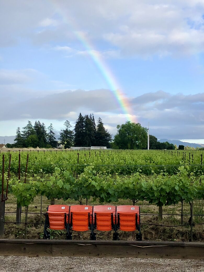 Actual seats from Candlestick Park. Have a seat and watch!