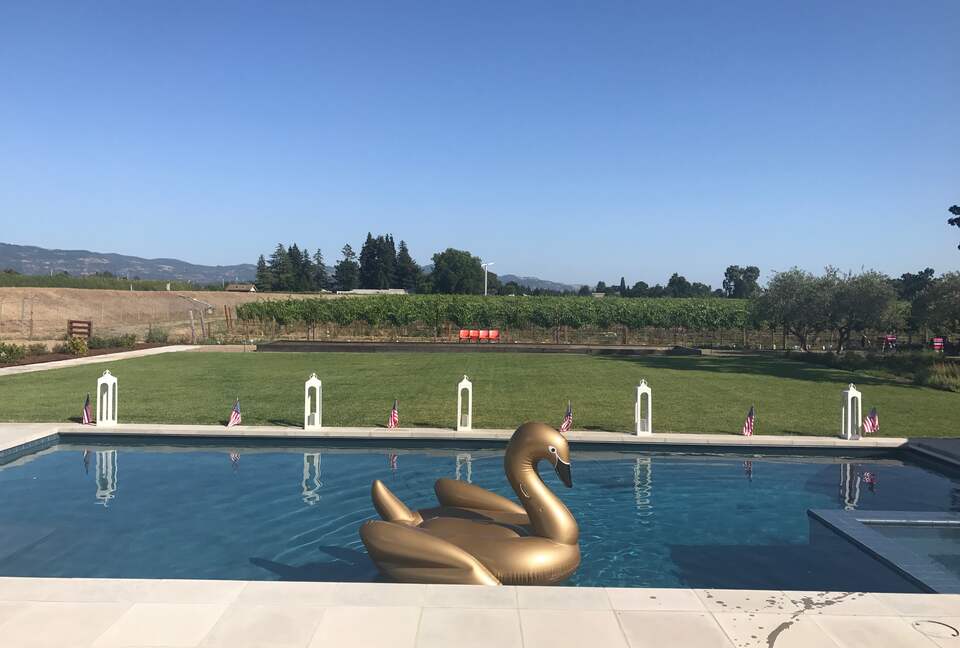 The large pool with built-in spa looking south.