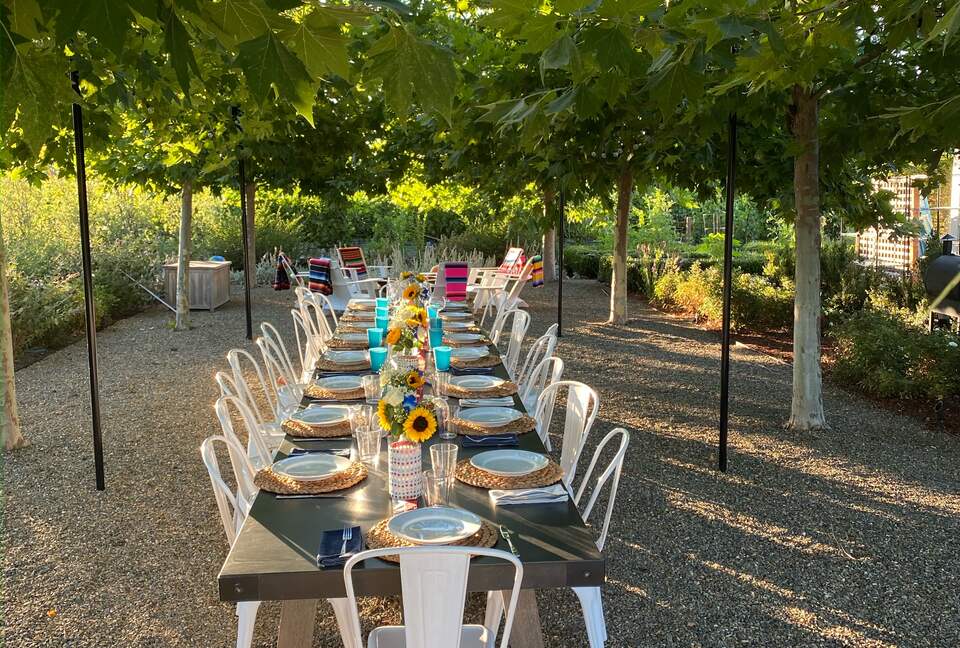 Outdoor dining beneath the sycamore trees.