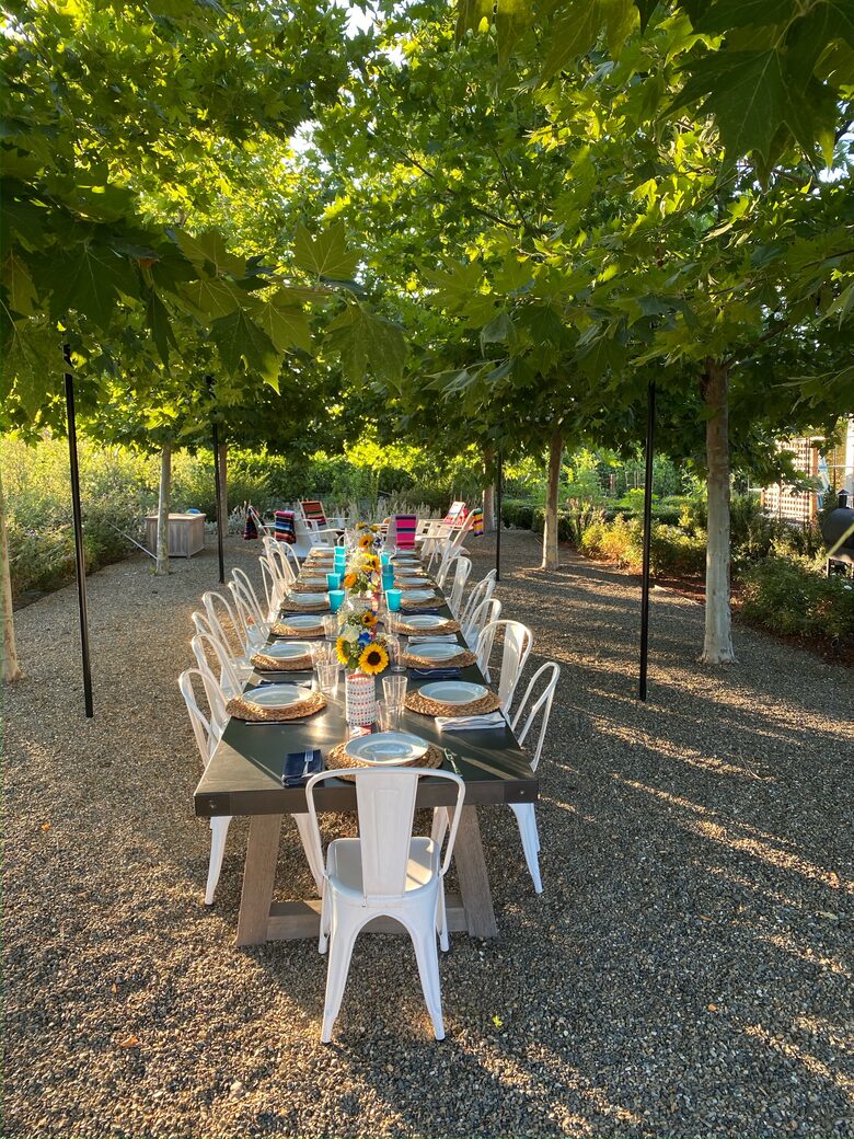 Outdoor dining beneath the sycamore trees.
