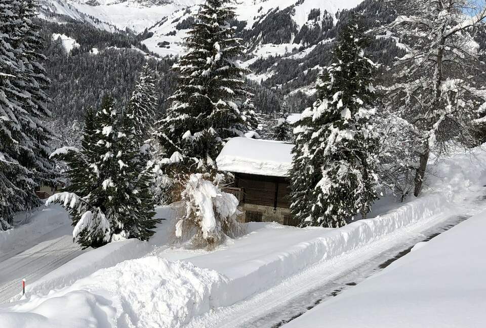 Chalet Le Paradis Blanc - Notre-Dame-de-Bellecombe, France
