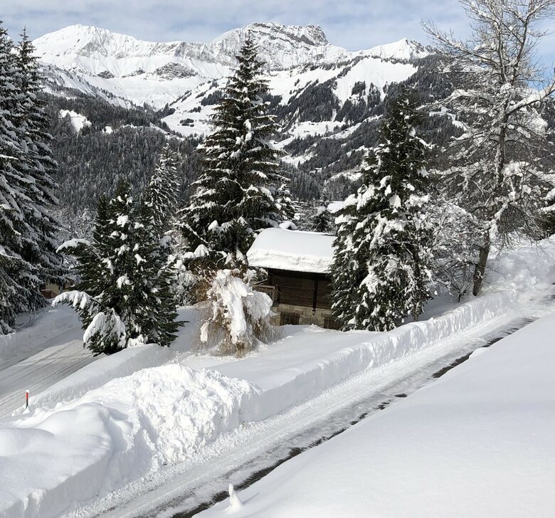 Chalet Le Paradis Blanc - Notre-Dame-de-Bellecombe, France